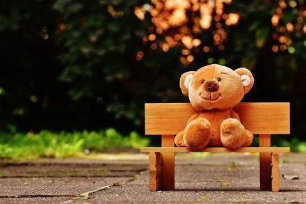 Teddy Bear On A Seat