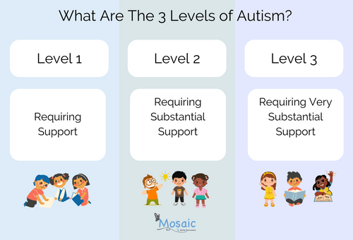 3 Levels of Autism